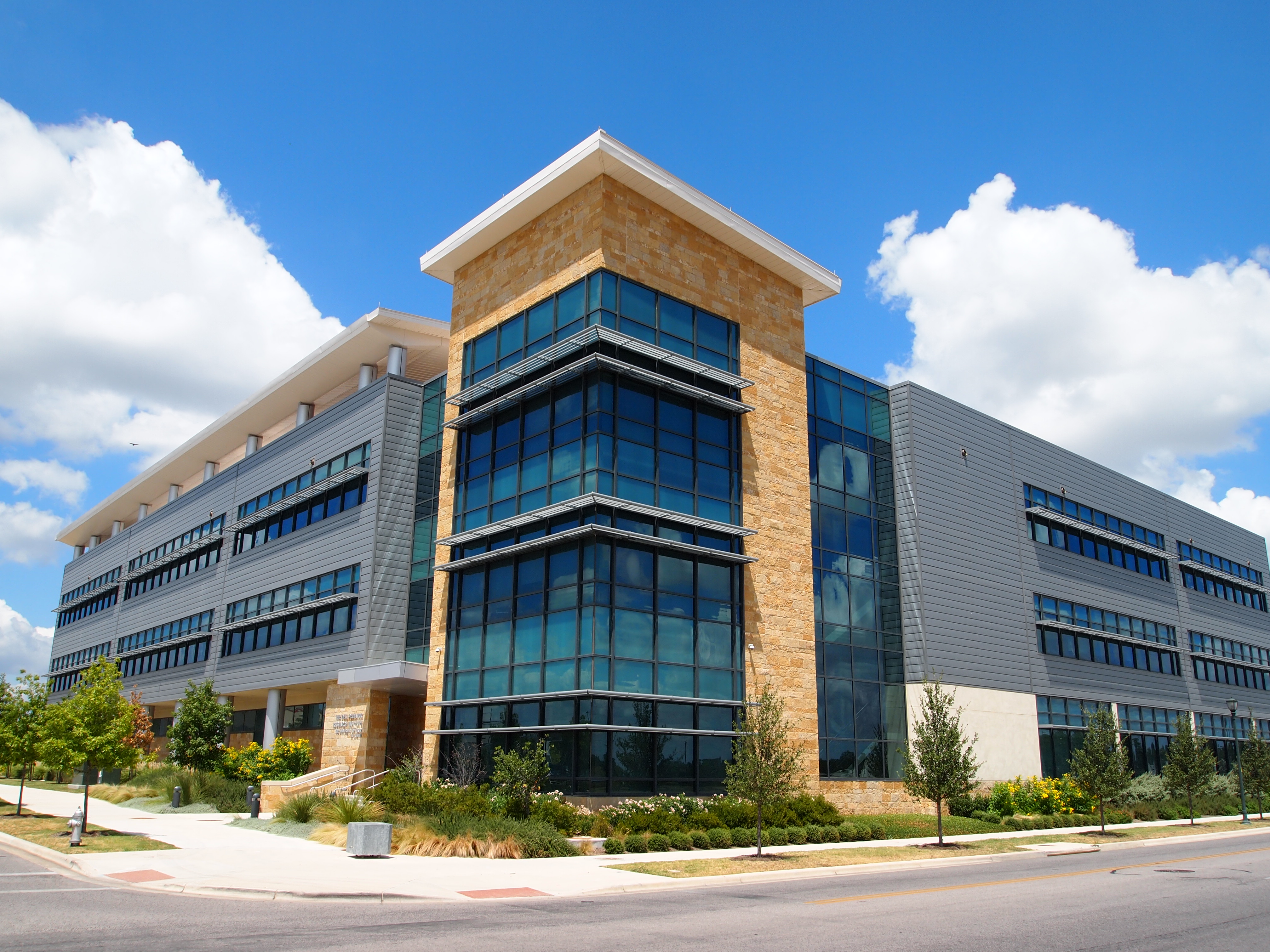 dsip coa austin University of Texas at Dell Pediatric Research Institute Don Austin - Superintendent -
